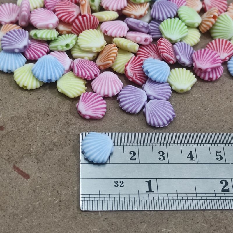 50pcs kerang